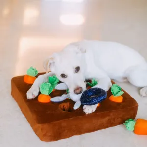 Interactive Treat Toy