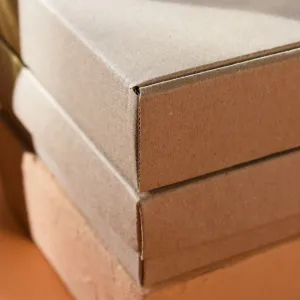 Kraft Shipping Boxes (50 pack)