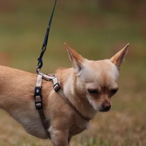 Adjustable Walking Harness