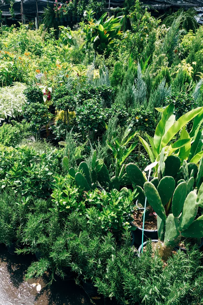 Garden & Plants Ecommerce Product