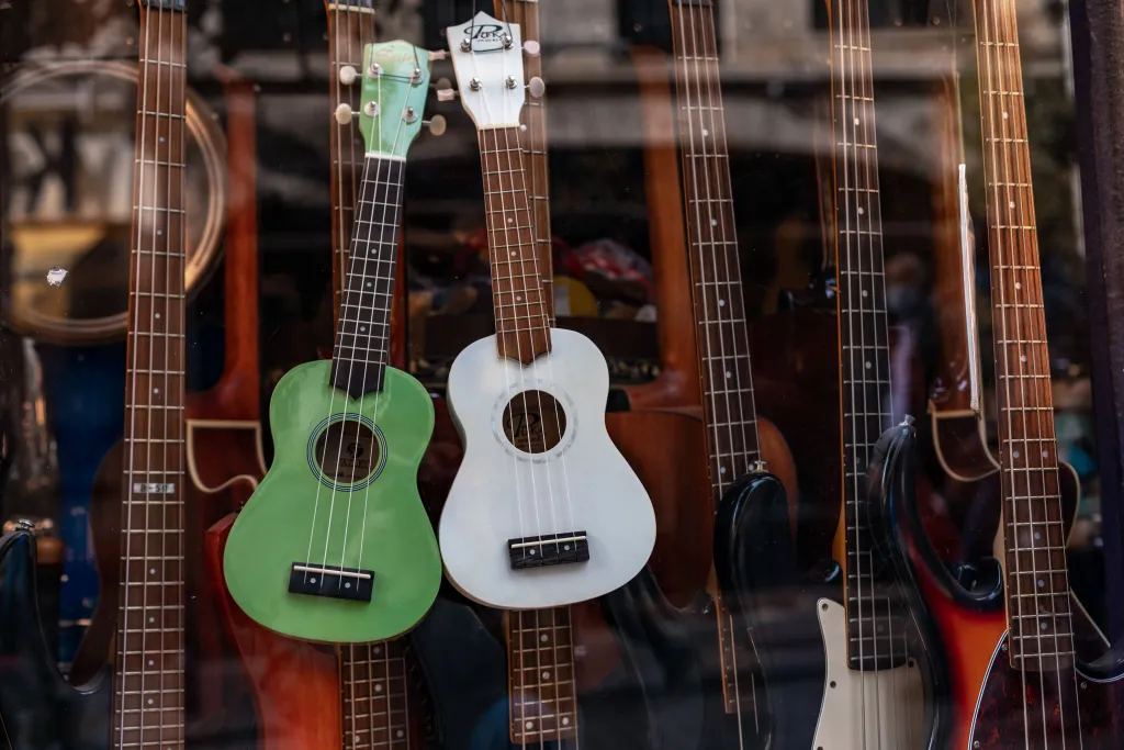 Musical Instruments Store Product Display