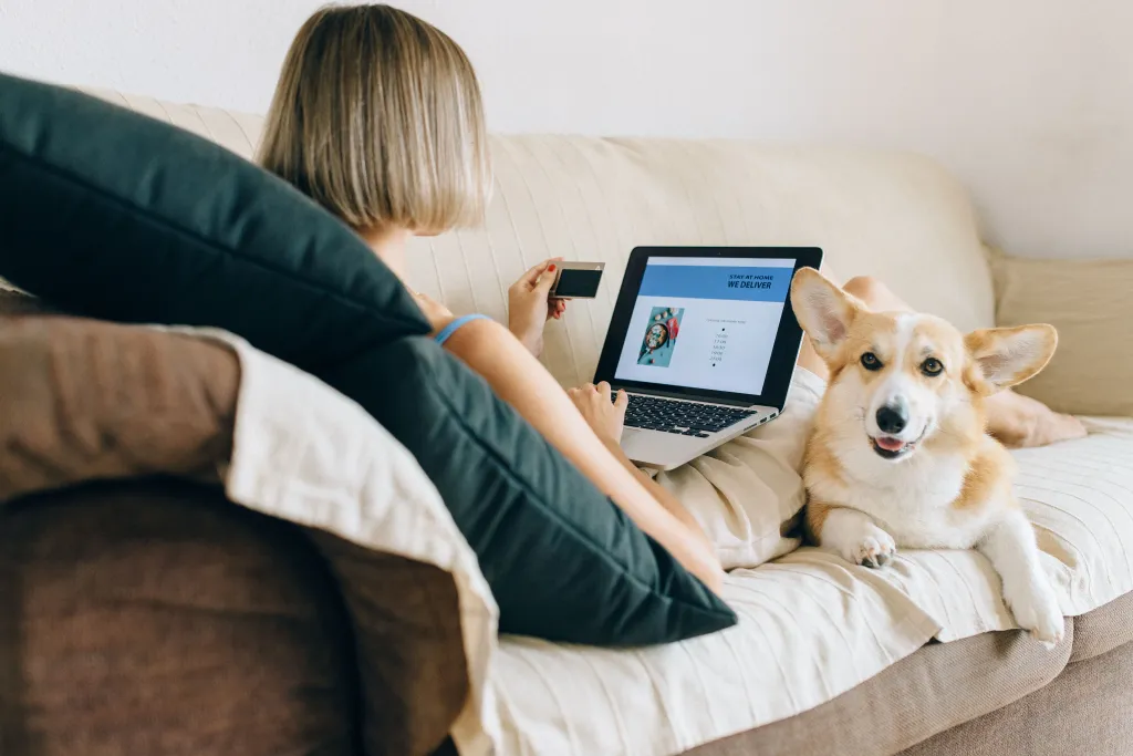 Pet Store Collections Ecommerce Lifestyle