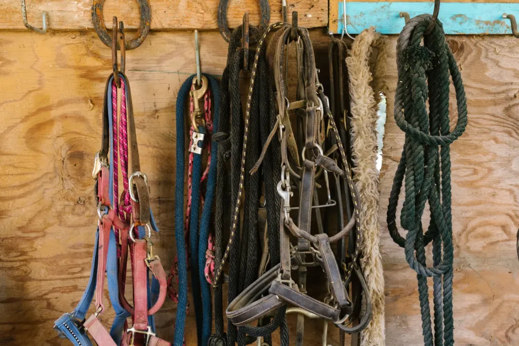 Horse Supplies alternate store layout