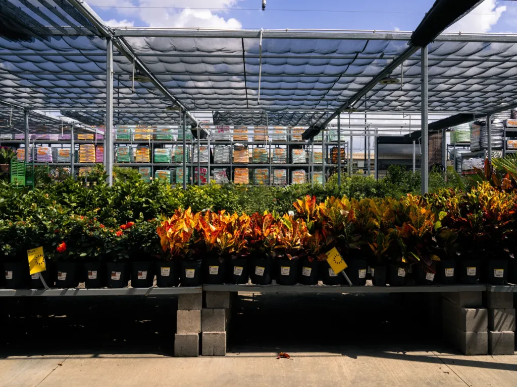 Outdoor Plants alternate store layout