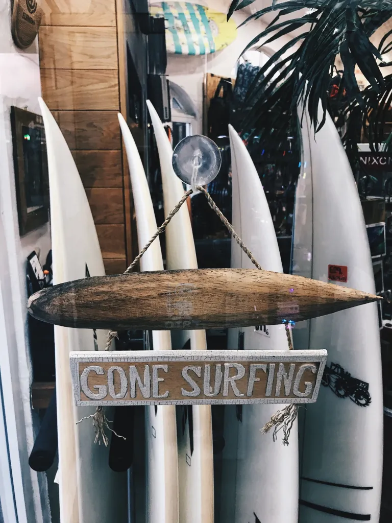 Surf Store online store