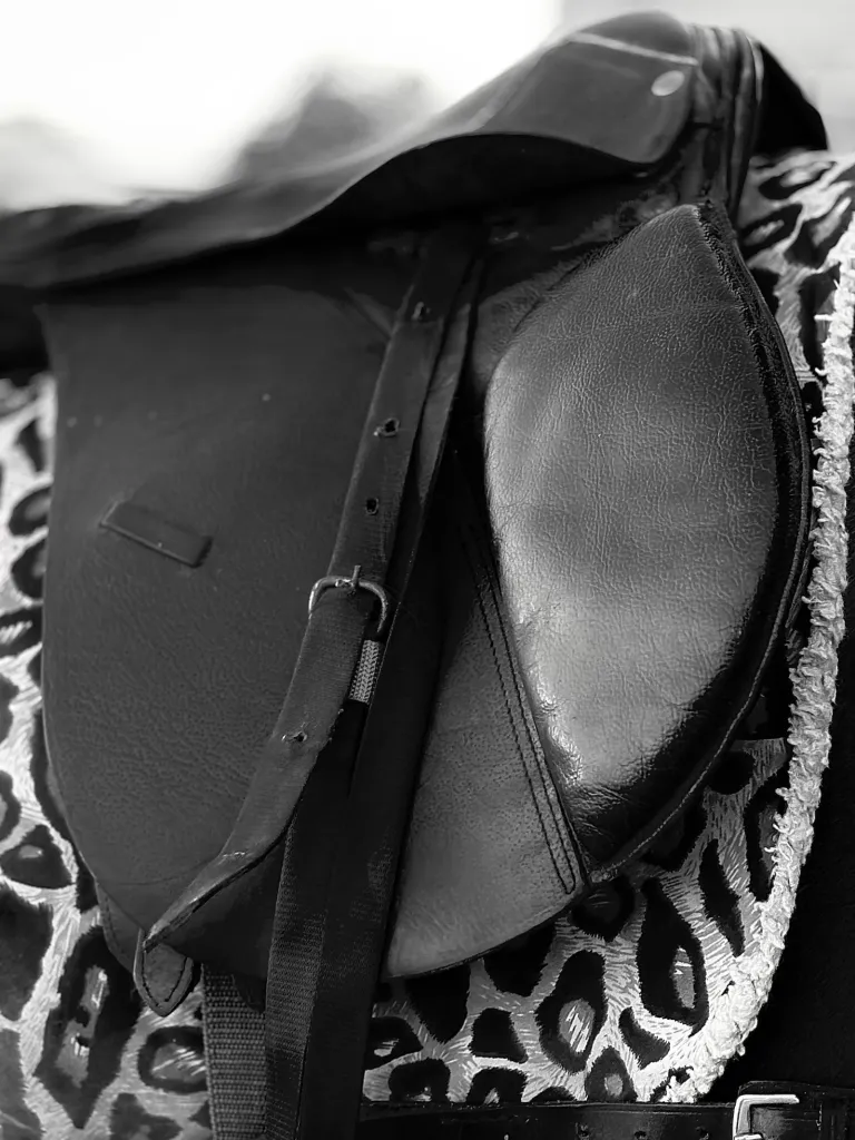 Horse Supplies premium slider image