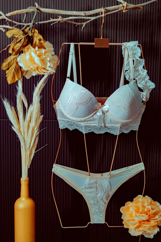 Lingerie Store premium product image