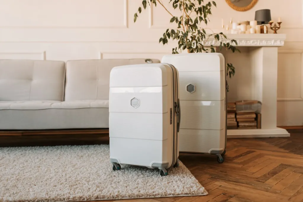 Travel Luggage premium product image