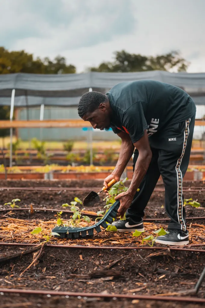 Gardening Tools premium slider image