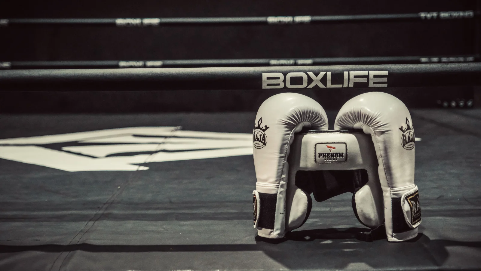 Boxing Equipment premium slider image