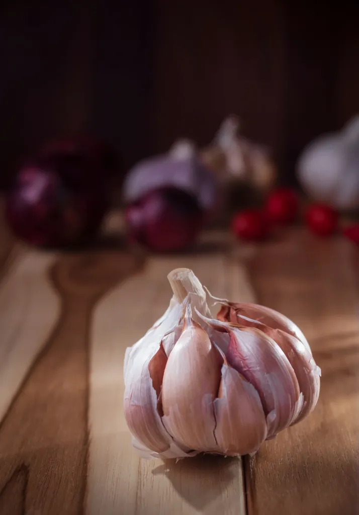 Seeds & Bulbs premium slider image